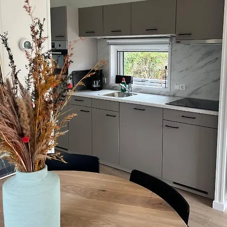 Zeegeluk Vlakbij De Kust Chalet *